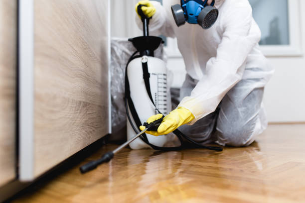 Best Exterminator Services  in North Druid Hills, GA